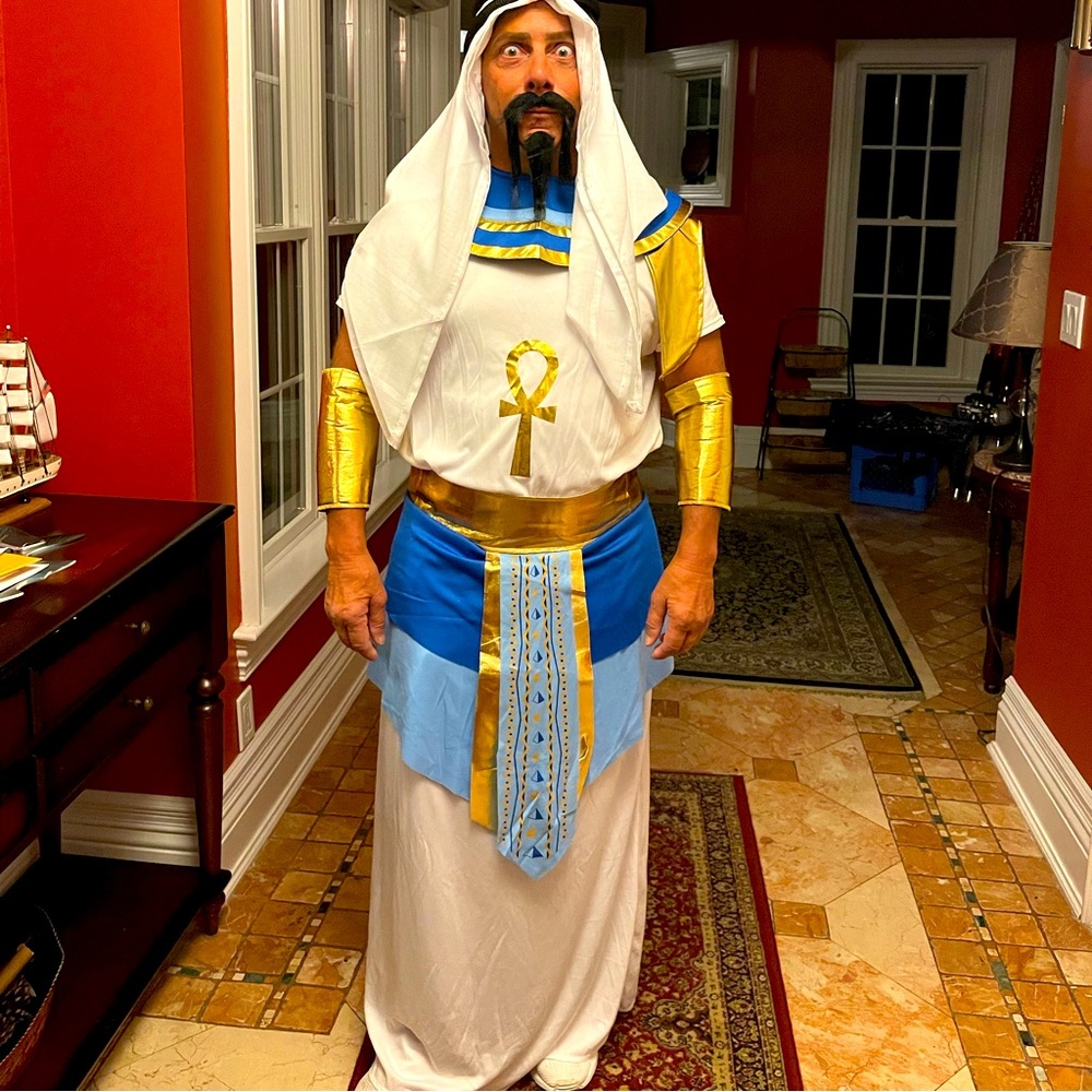 Halloween costume for man.